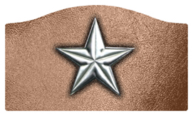 DASHELL-430-SL-BZ Star Silver-Bronze